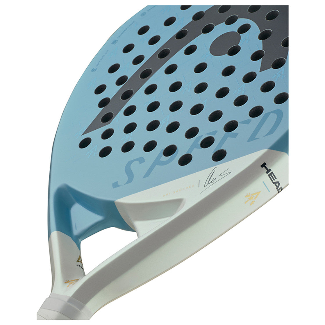 Head Speed Motion Ari Signature