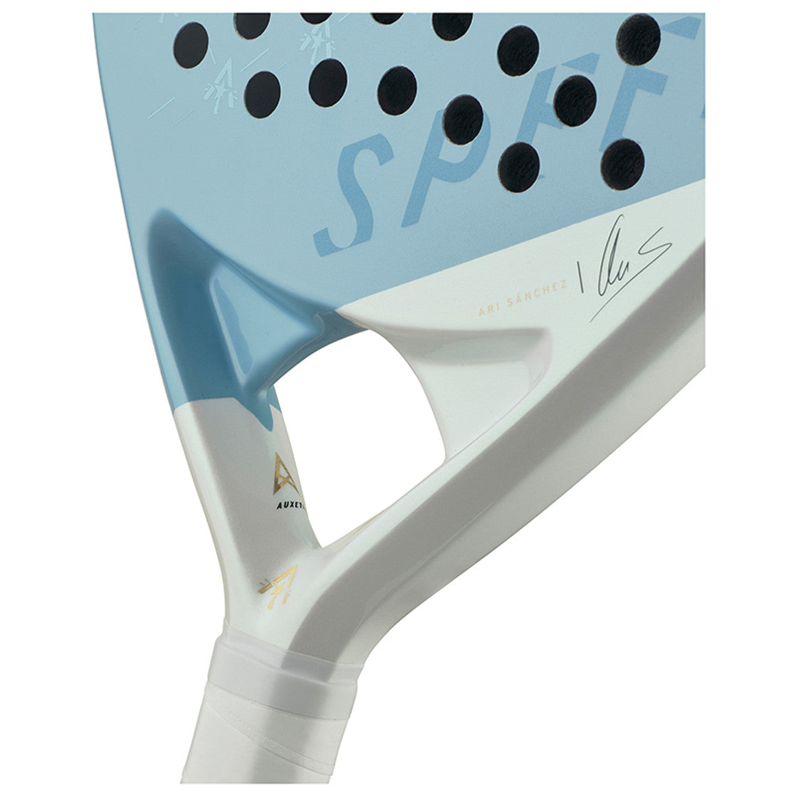 Head Speed Motion Ari Signature