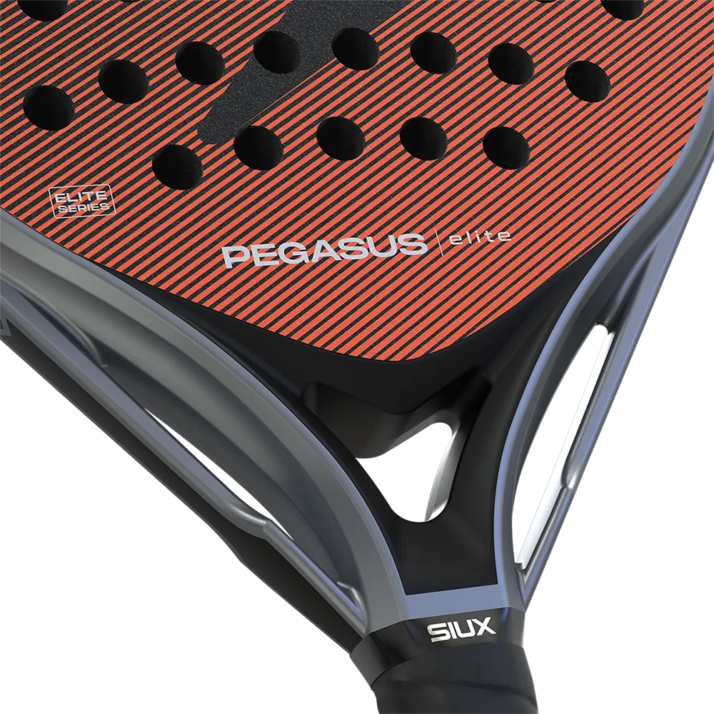 Siux Pegasus Elite 2026