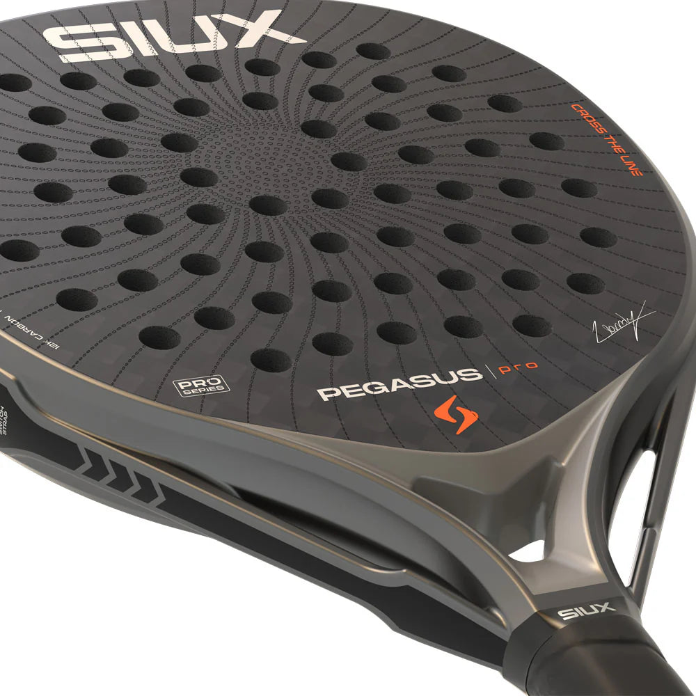 Siux Pegasus Pro Storm Gray 2026