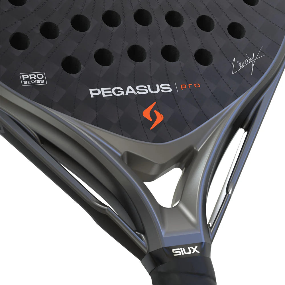 Siux Pegasus Pro Storm Gray 2026