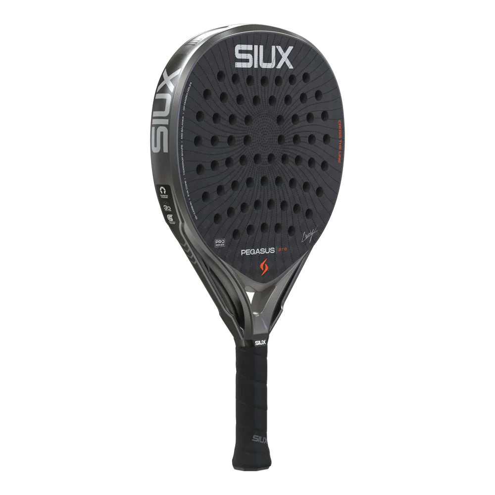 Siux Pegasus Pro Storm Gray 2026